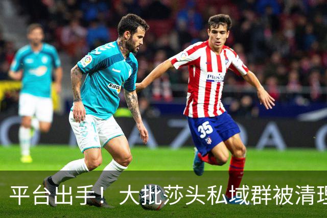 平台出手！大批莎头私域群被清理，饭圈乱象整治，全网纷纷叫好
