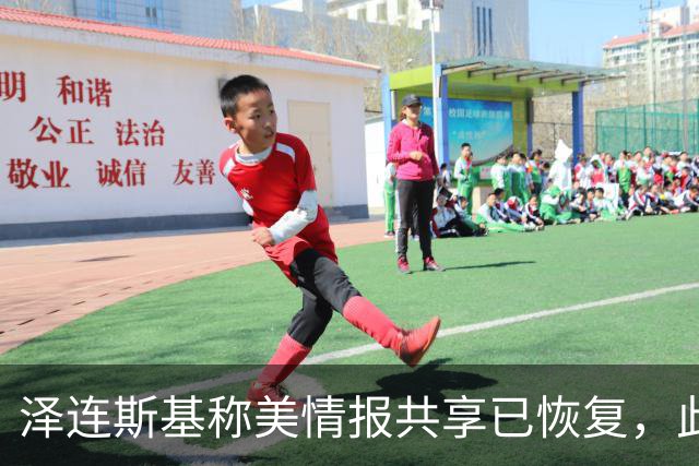 泽连斯基称美情报共享已恢复，此前中断令乌克兰对俄袭击“失明”