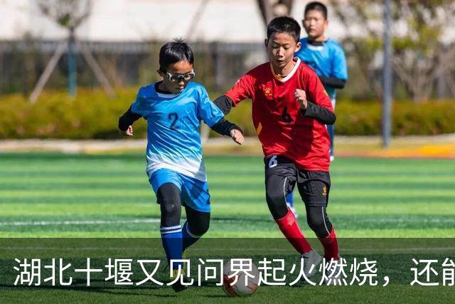 湖北十堰又见问界起火燃烧,还能只用“撞击”来解释吗?